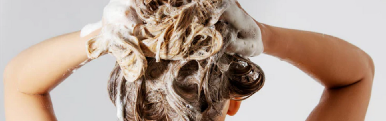 Shampoo