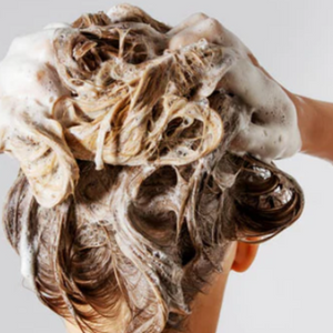 Shampoo and Conditioner