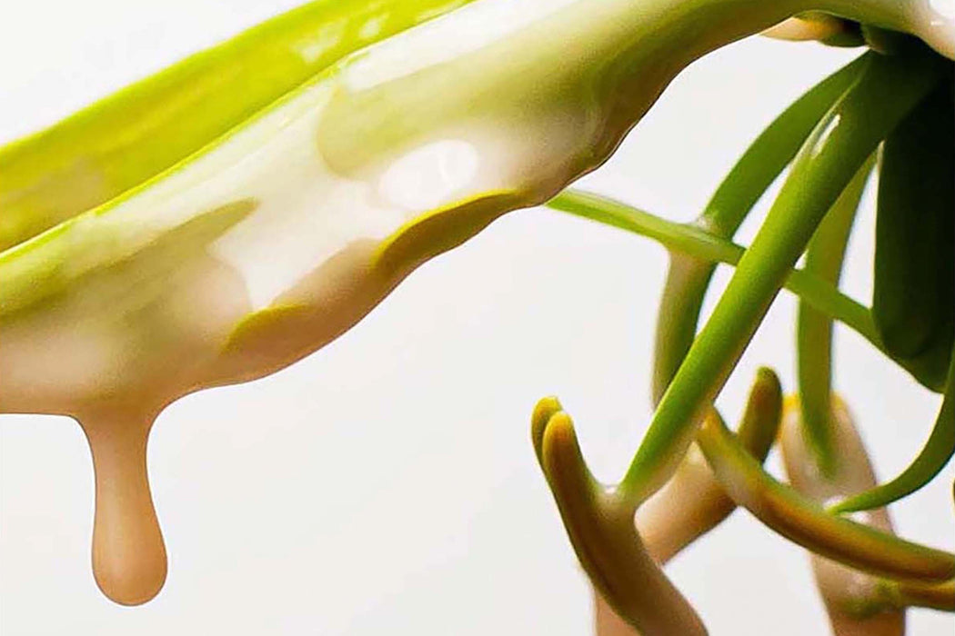 Pureology - Nanoworks Gold Conditioner 1000ml