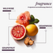 Fragrance blend with wild rose, cedarwood, and grapefruit on a white background